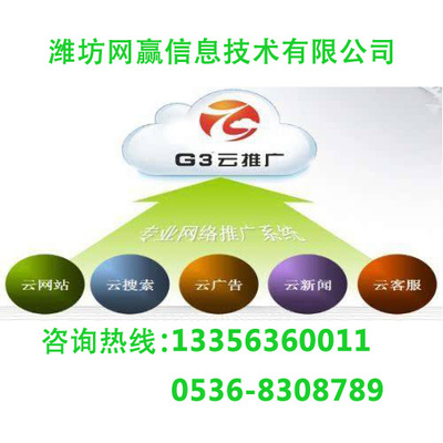 棗莊G3云推廣 按需定制技術方案，成效顯著